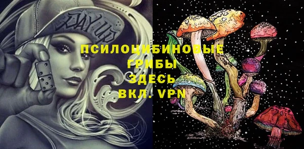 крисы Няндома