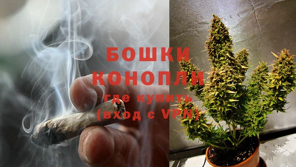 молекула духа Нягань