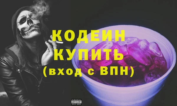 крисы Няндома