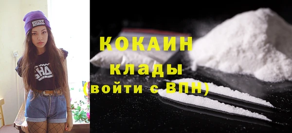 молекула духа Нягань