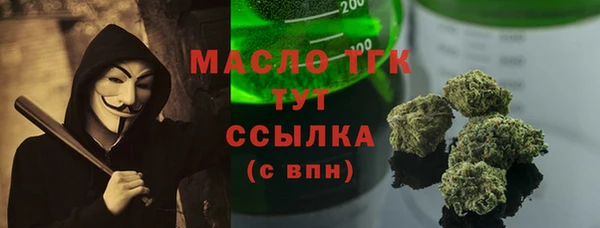крисы Няндома