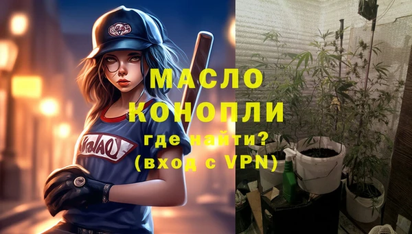 крисы Няндома