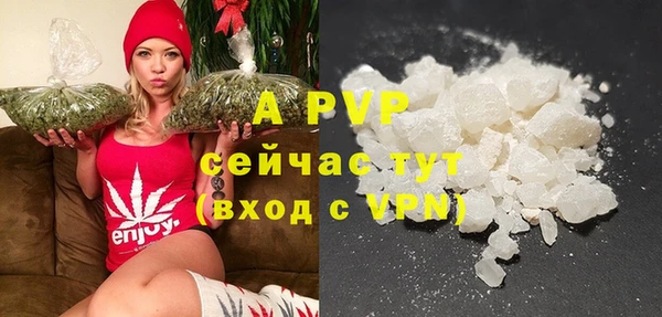 молекула духа Нягань