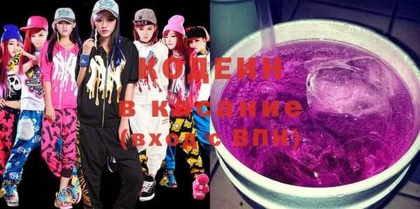 крисы Няндома