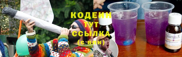 крисы Няндома