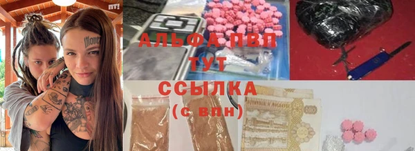 крисы Няндома