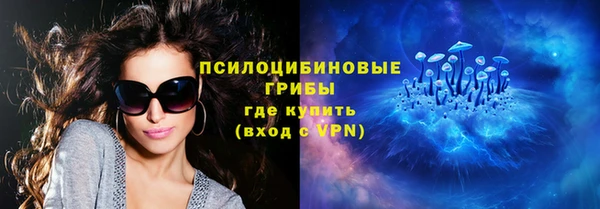 крисы Няндома